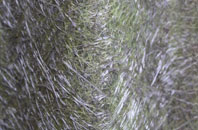 Markham Moor fibreglass roof work